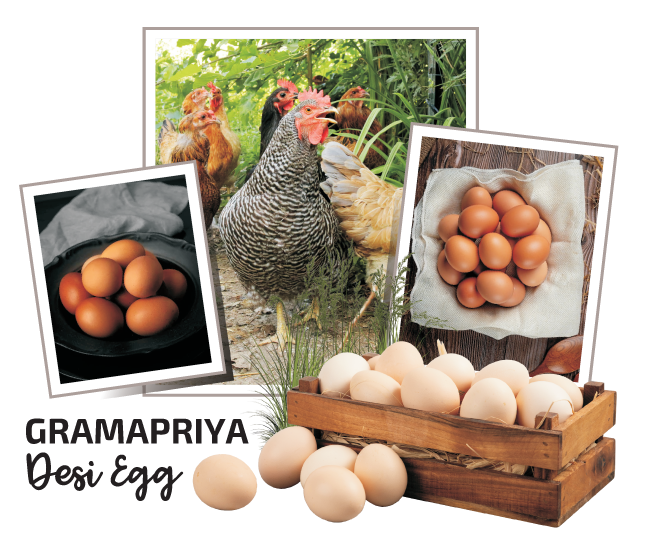 Abi Farms Diary, Poultry and Fish Farms in Trivandrum